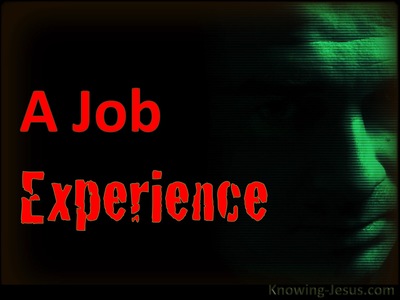 A “Job” Experience (JOB-study 6)